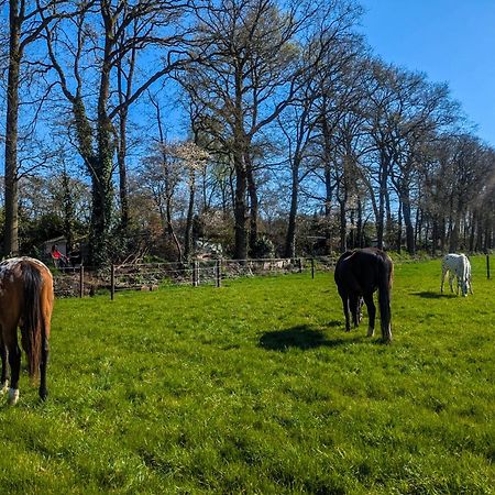 Hotel Chique Chalet Met Zicht Over De Weilanden Op De Veluwe إبّ المظهر الخارجي الصورة