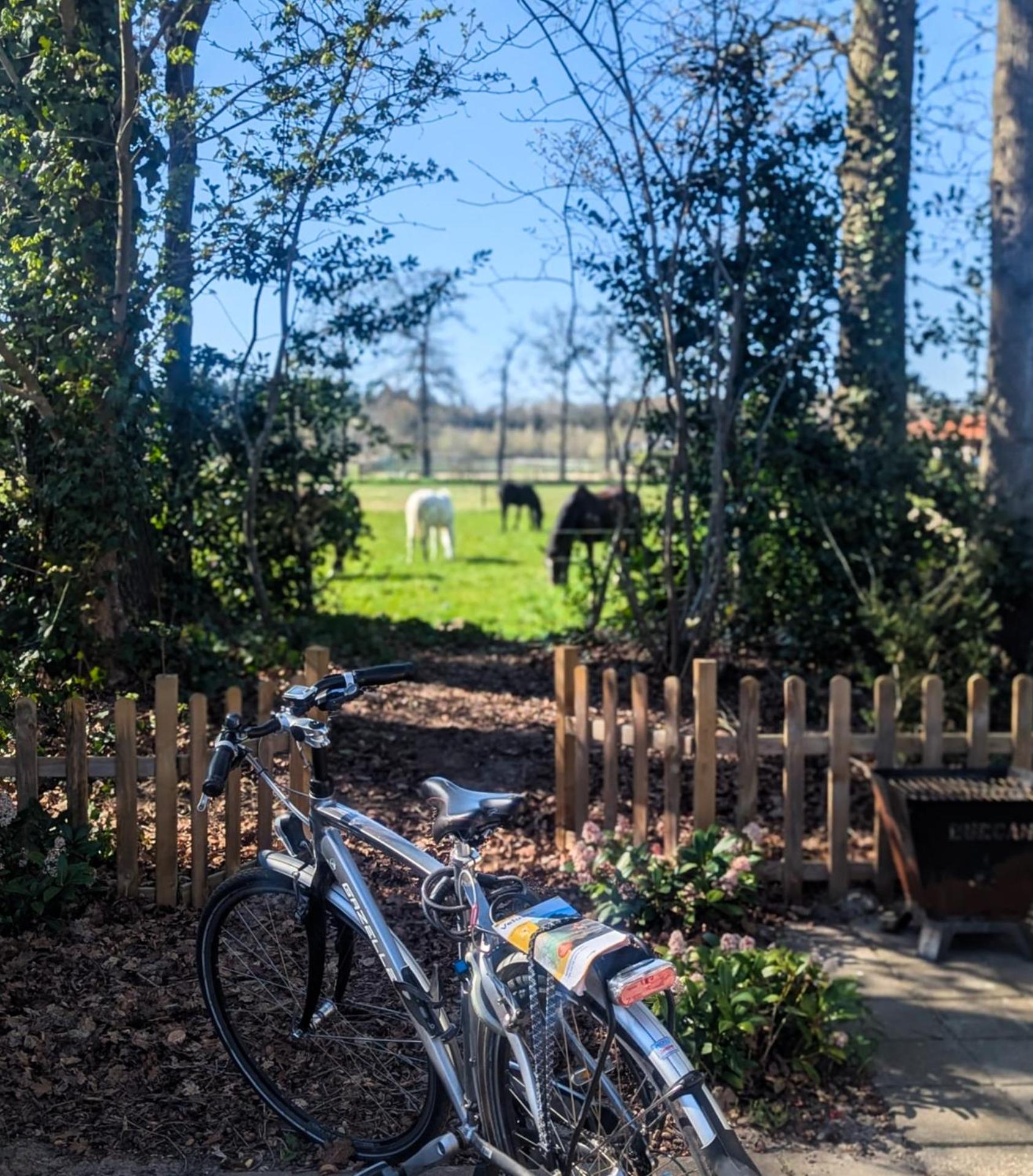 Hotel Chique Chalet Met Zicht Over De Weilanden Op De Veluwe إبّ المظهر الخارجي الصورة